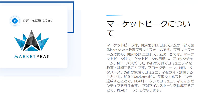 マーケットピークとは？マルチビジネスの概要