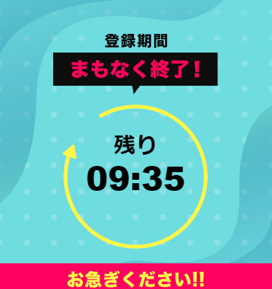 ladybugの特徴は「副業初めてでも月収30万」