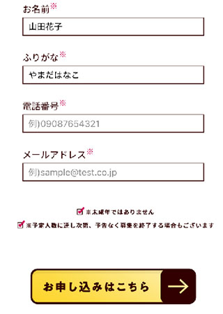 実際に月収万円50万円以上目指せる副業で登録して検証してみた！申し込みフォーム